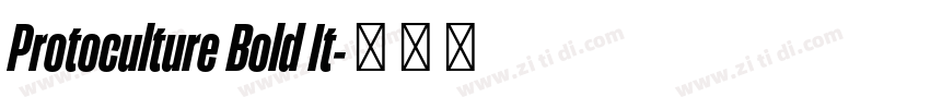 Protoculture Bold It字体转换